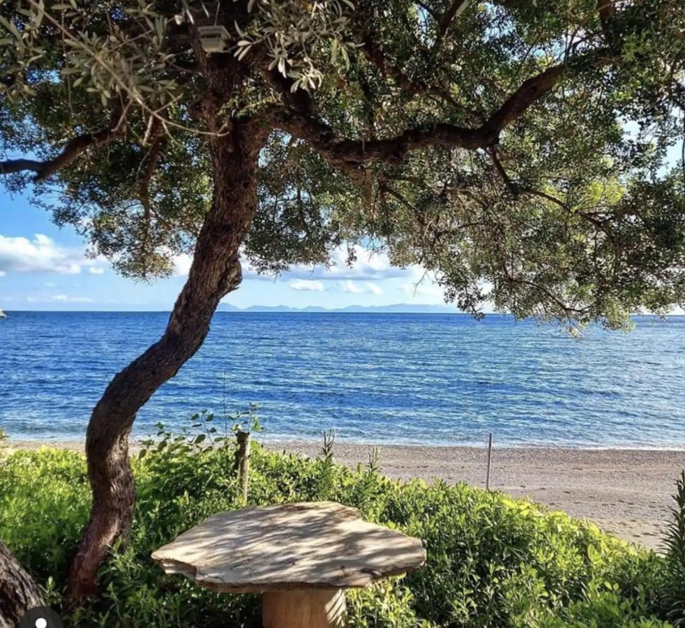 Dadya Villa 1 - Villa With Private Pool - 750M Distance To The Beach Datca Exterior photo